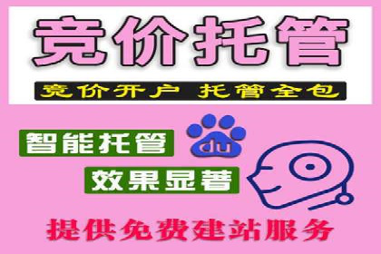 揭秘百度推广代运营公司运营成果